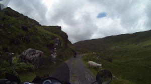 Inside the Ring of Kerry